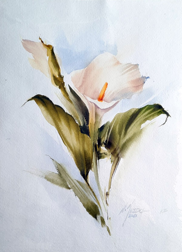 Master Mohammadali Yazdchi