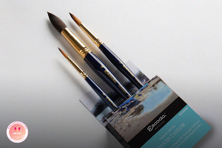 ویژگی اصلی که باید در انتخاب قلم‌مو آبرنگ برند اسکودا بدانیم