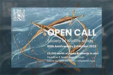 Society of Wildlife Artists | OPEN NOW