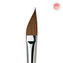 قلم موی داوینچی  شمشیری مدل COLINEO سری 5527 سایز 20