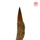 قلم موی شاخ بز با موی گرگ دگان‌ آرت ، ساخت کشور کانادا (Horn)  سایز 14