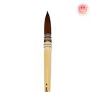 DaVinci brush, Dogan Art series,  - size 6