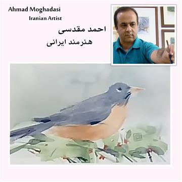 آموزش نقاشی احمد مقدسی (حیوانات)