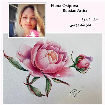 Elena Osipova Course (#1)