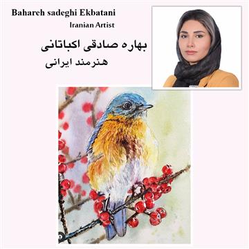 Bahareh Sadeghi Ekbatani Course (Birds #1)